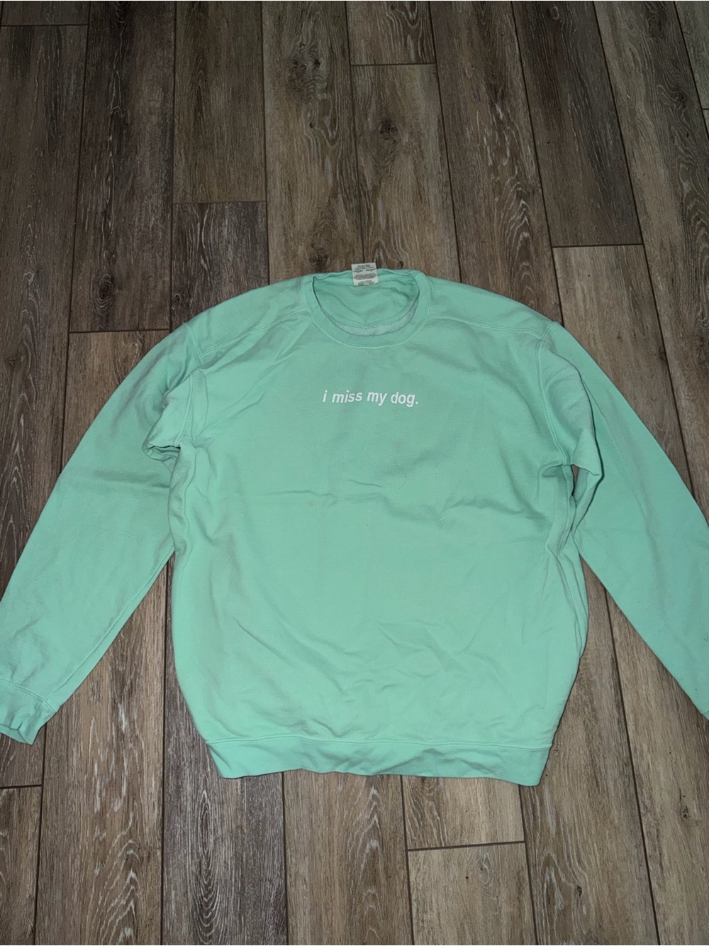 Comfort Colors Mint Green Crewneck Sweatshirt with Front Text